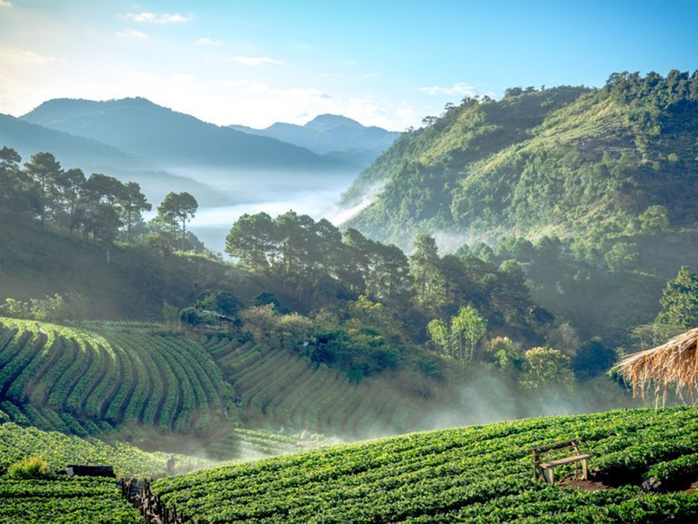 Chiang Mai Mountains